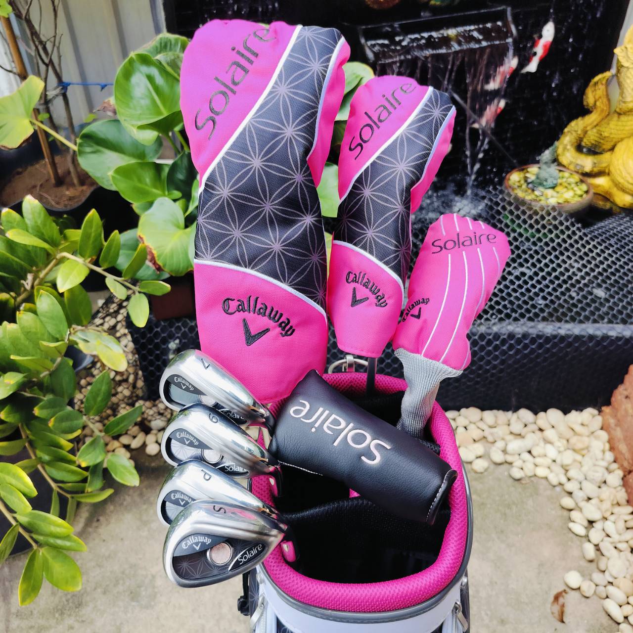 * ไม้กอล์ฟผู้หญิง * ชุดกอล์ฟ Callaway Solaire สภาพสวยนางฟ้า 95% ได้ค่ะ Driver และอีกหลายไม้ยังไม่แกะ ราคาติดอยู่ 33,500 บาท ไม้กอล์ฟพรีเมี่ยมมือสอง ของแท้ By NakaraLuxurious