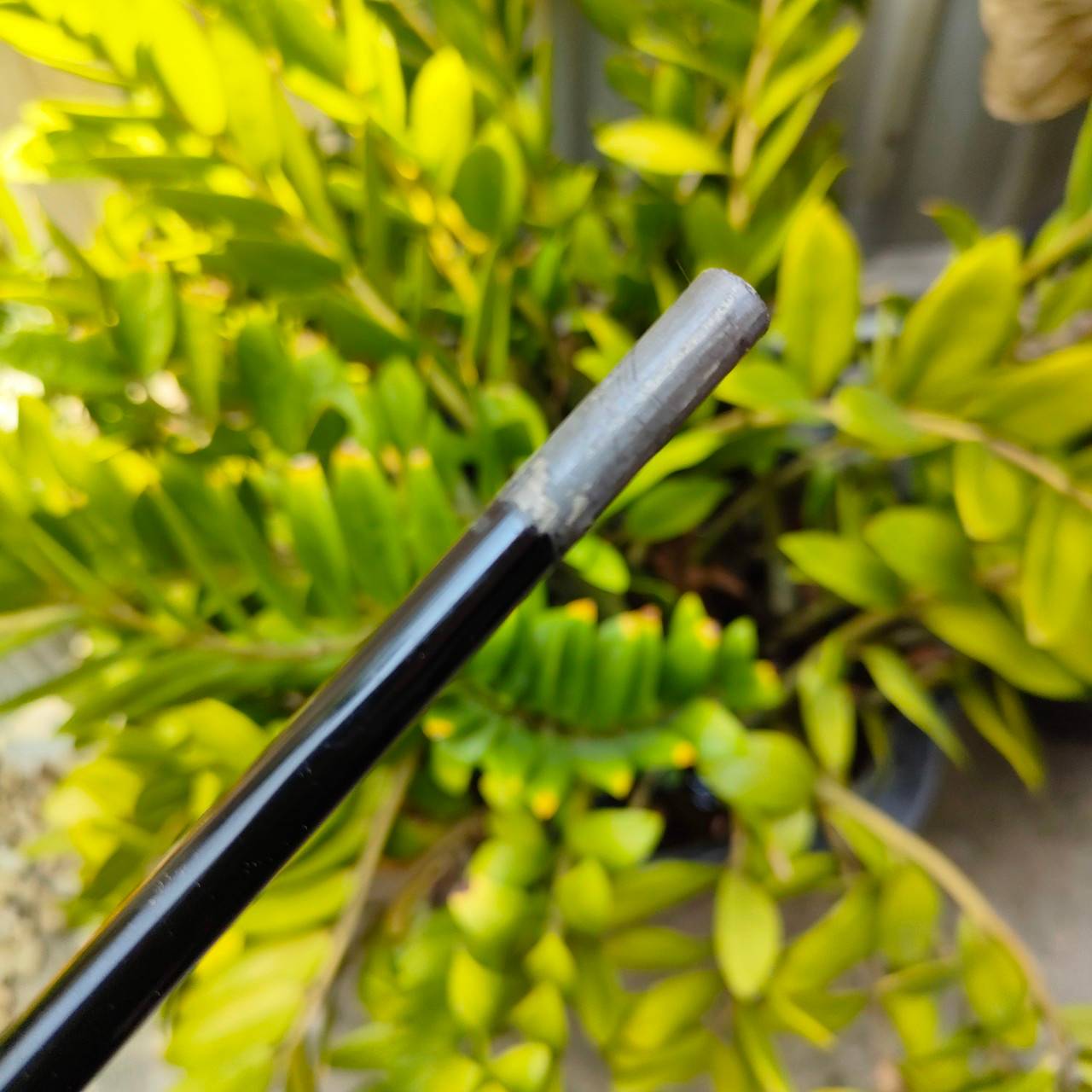 ก้านใส่ DRIVER Basileus Tri Leggero2 ความยาวเฉพาะก้าน 45 นิ้ว FLEX R สภาพสวยมากเดิมๆ ไม้กอล์ฟพรีเมี่ยมมือสอง ของแท้ By NakaraLuxurious