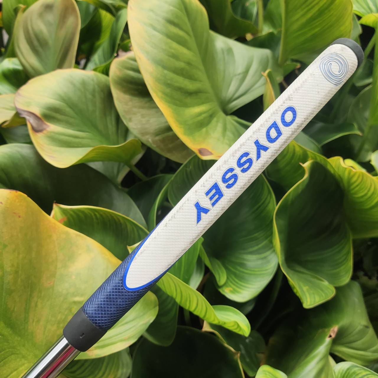 PUTTER ODYSSEY AI-ONE #7 CH 34 นิ้ว COVER แท้เดิม เบอร์ 7 เป็นรูปทรงที่นิยมสูงสุดในตอนนี้