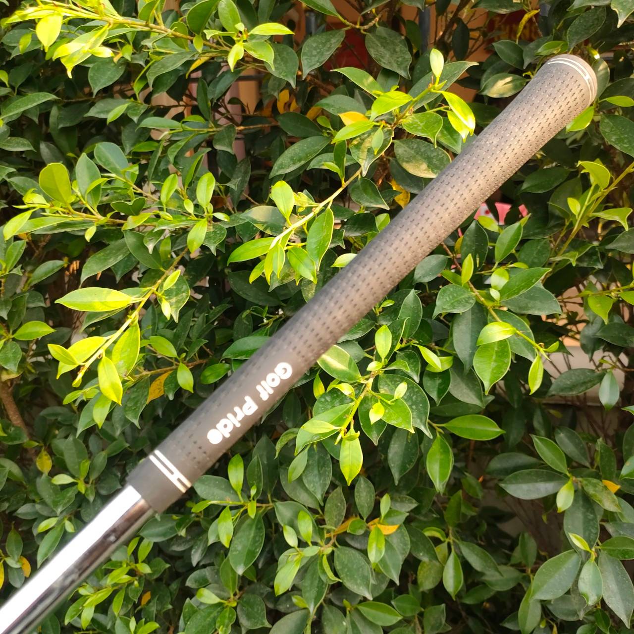 ชุดเหล็ก LYNX SEVILLE มีเหล็ก 3-9 เเละ SW ก้าน LYNX เหล็กคมสุดมันส์ พัฒนาขั้นสุดครับ