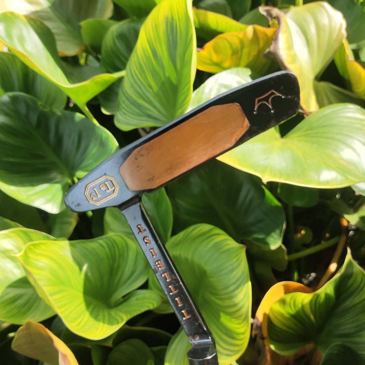 สุดยอดของ CAMERON Teryllium/Tel³ (อัลลอย์ 12 โลหะ) PUTTER Scotty Cameron Newport® 2 Long Neck