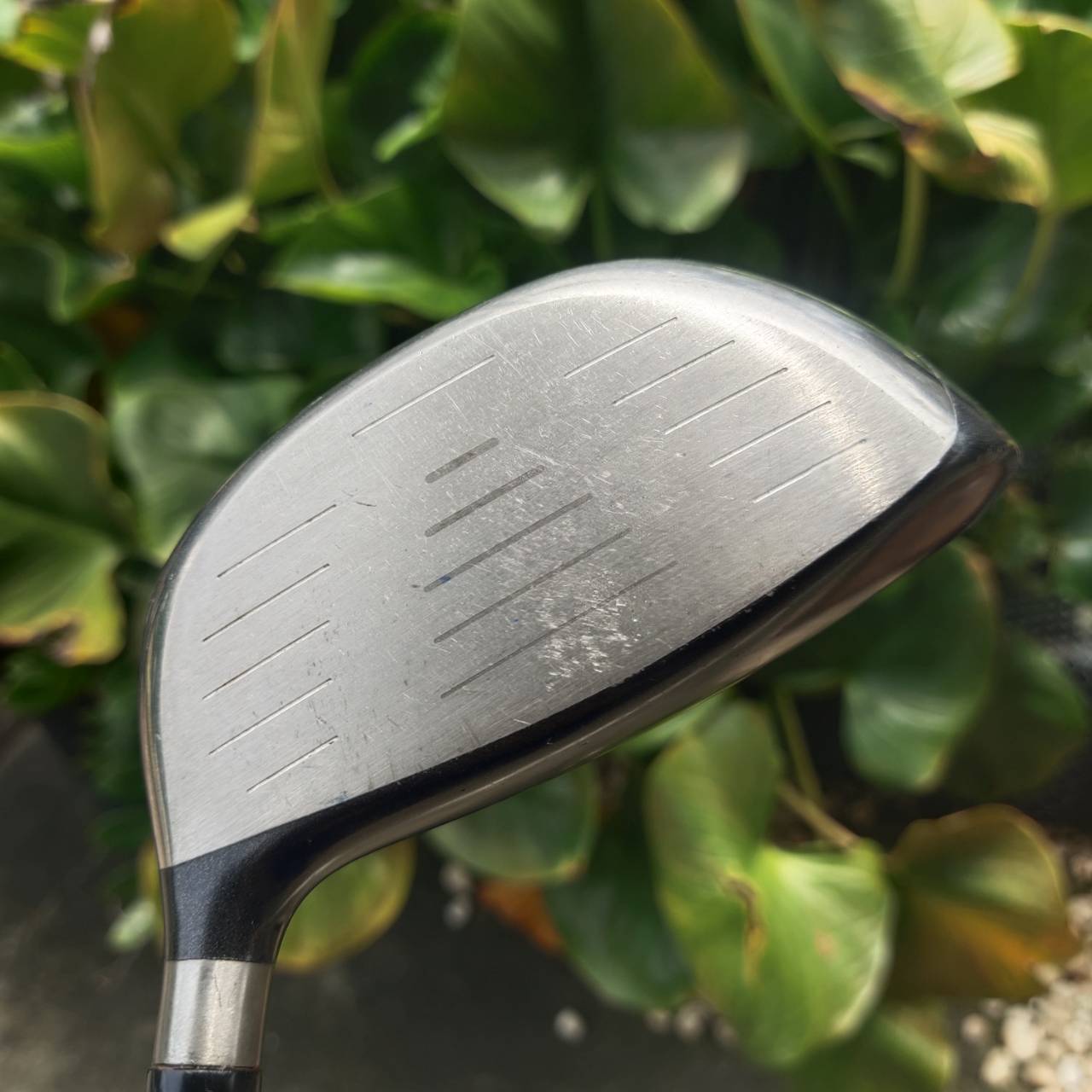 Driver Cleveland Hi-Bore กระดองปาด วาง CG ต่ำและลึก ช่วยให้ตีโดนง่าย ลูกออกเร็ว