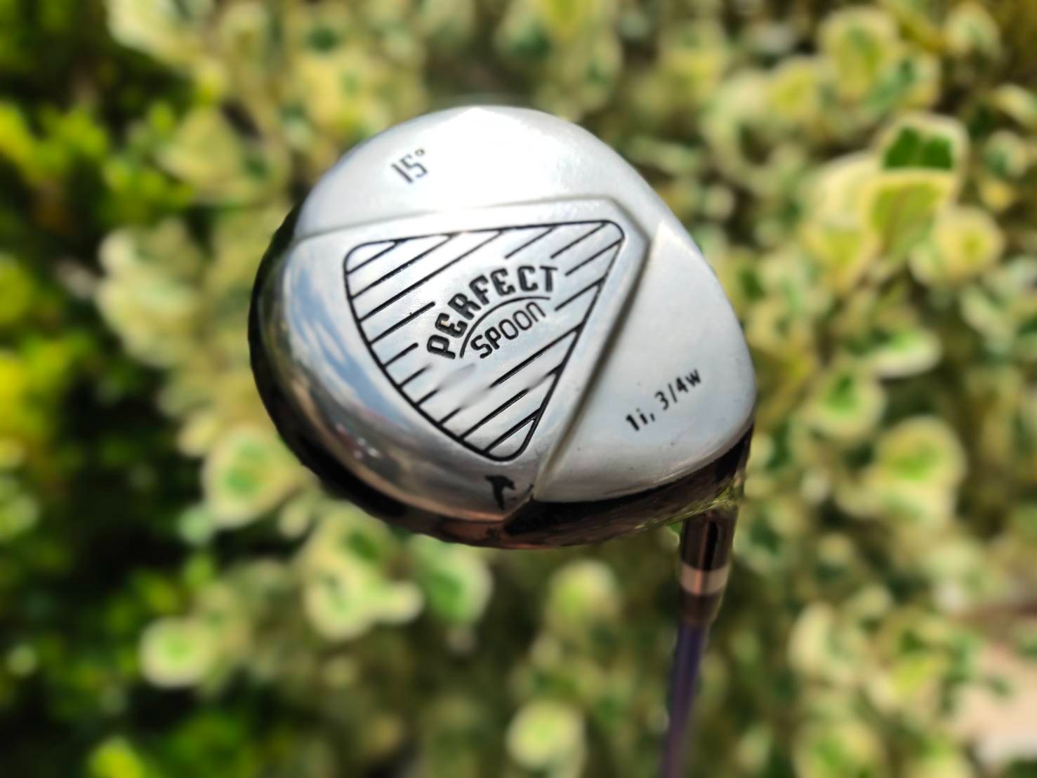 FW3 PERFECT SPOON องศา 15