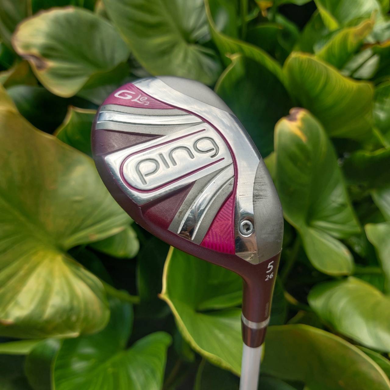 PING GLe2 HYBRID5 องศา26 ก้านเบาสุดๆ เติมเต็มความสุขให้กับท่านนักกอล์ฟสุภาพสตรีโดยแท้จริง