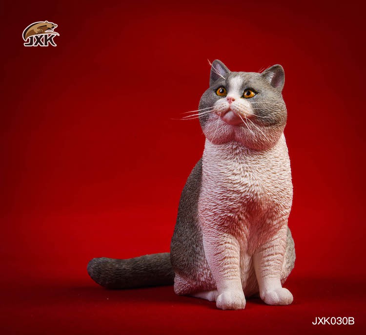 [สั่งจอง] JxK.Studio 1/6 Jxk029/ Jxk030 A/B/C/D -Ragdoll / British Shorthair Cat