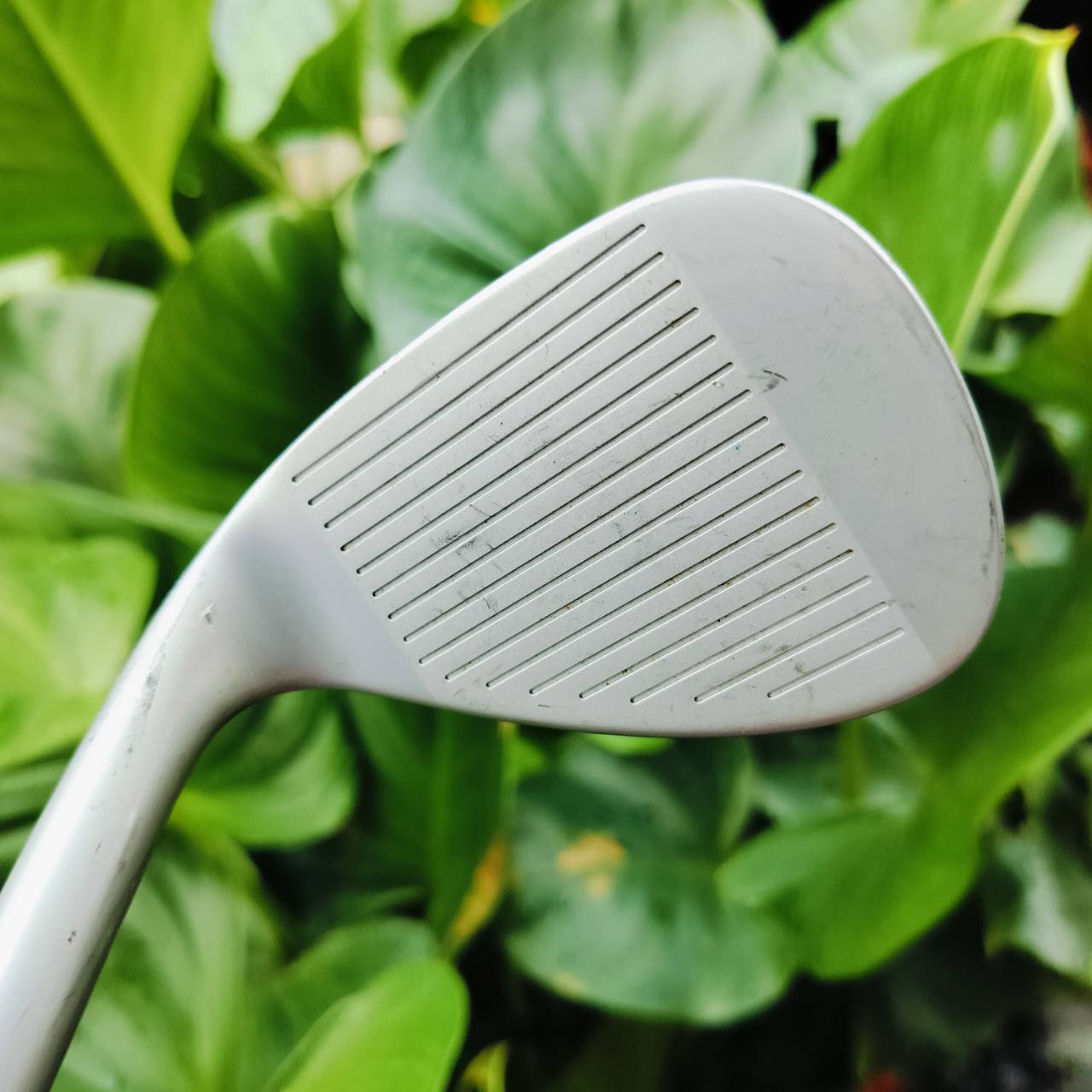WEDGE NIKE SV TOUR องศา 56 เบาท์ 10 รุ่น T ก้าน DYNAMIC GOLD S400 รมดำสวยมาก เป็น WEDGE ที่หนักแน่นเข้าบอลได้ดีมาก ไม้กอล์ฟพรีเมี่ยมมือสอง ของแท้ By NakaraLuxurious