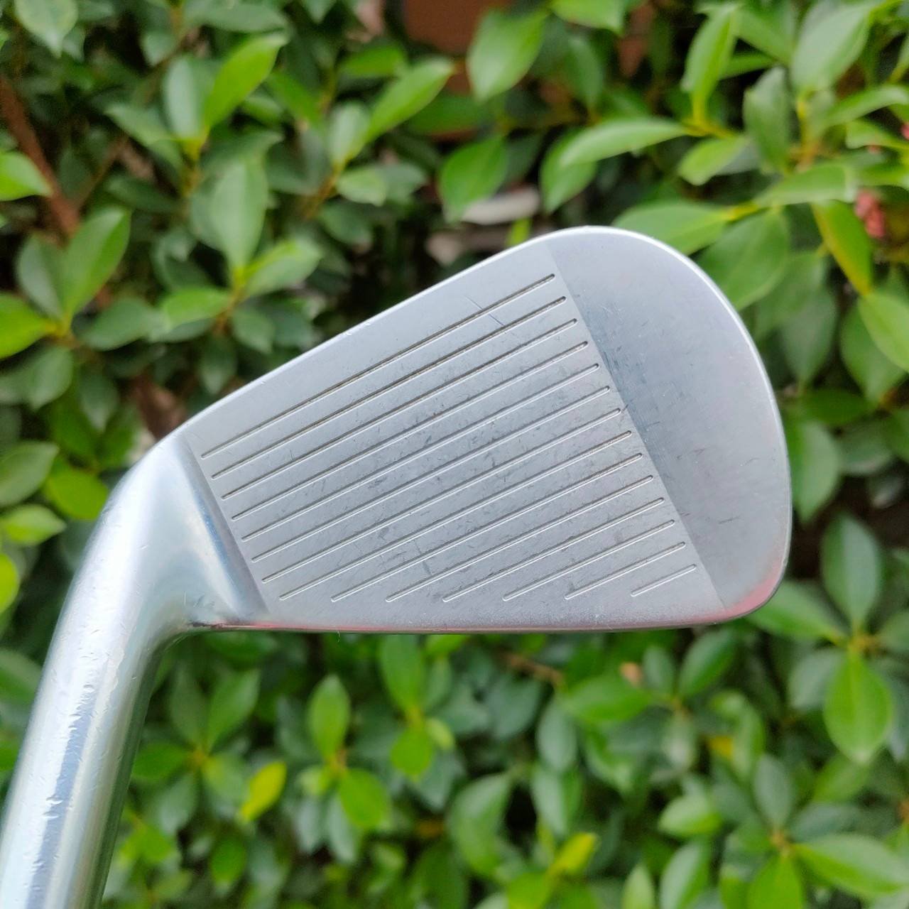 ชุดเหล็ก Nike Vapor Forged มีเหล็ก 5-9 เเละ PW ก้าน N.S.PRO 950GH FLEX S