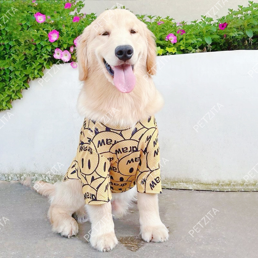 🇹🇭พร้อมส่ง🇹🇭 🐕🦮🐕 BIGSIZE เสื้อ หมาใหญ่ หมาอ้วน ลายแฟชั่นน่ารัก ผ้ารูใส่สบาย FOR สัตว์เลี้ยง สุนัขพันธุ์ใหญ่