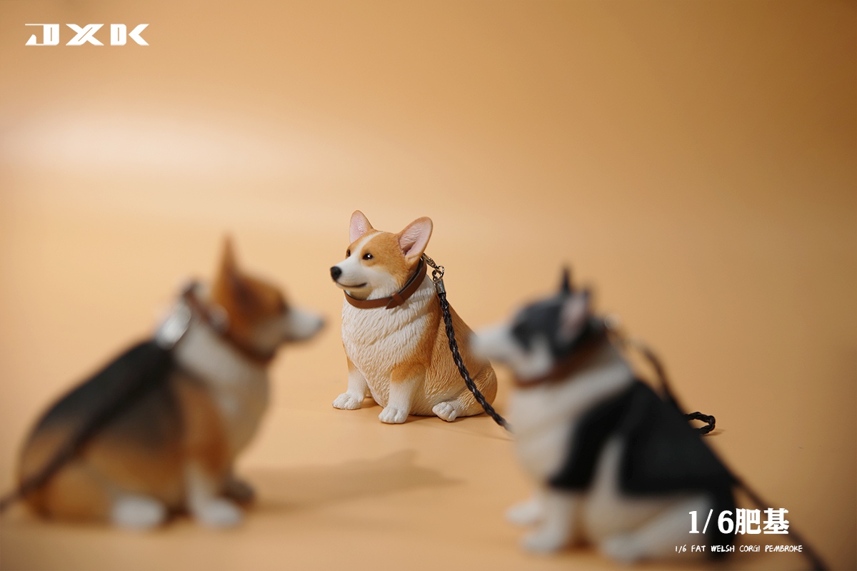 [สั่งจอง]JXK 1/6 : Fat Welsh Corgi Pembroke
