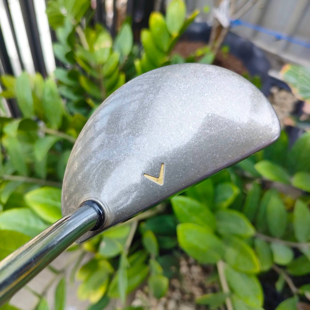 *** ไม้กอล์ฟมือซ้าย *** PUTTER CALLAWAY THE TUTTLE ความยาว 33.5 นิ้ว สุดยอดหายาก ไม้กอล์ฟพรีเมี่ยมของแท้ By NakaraLuxurious