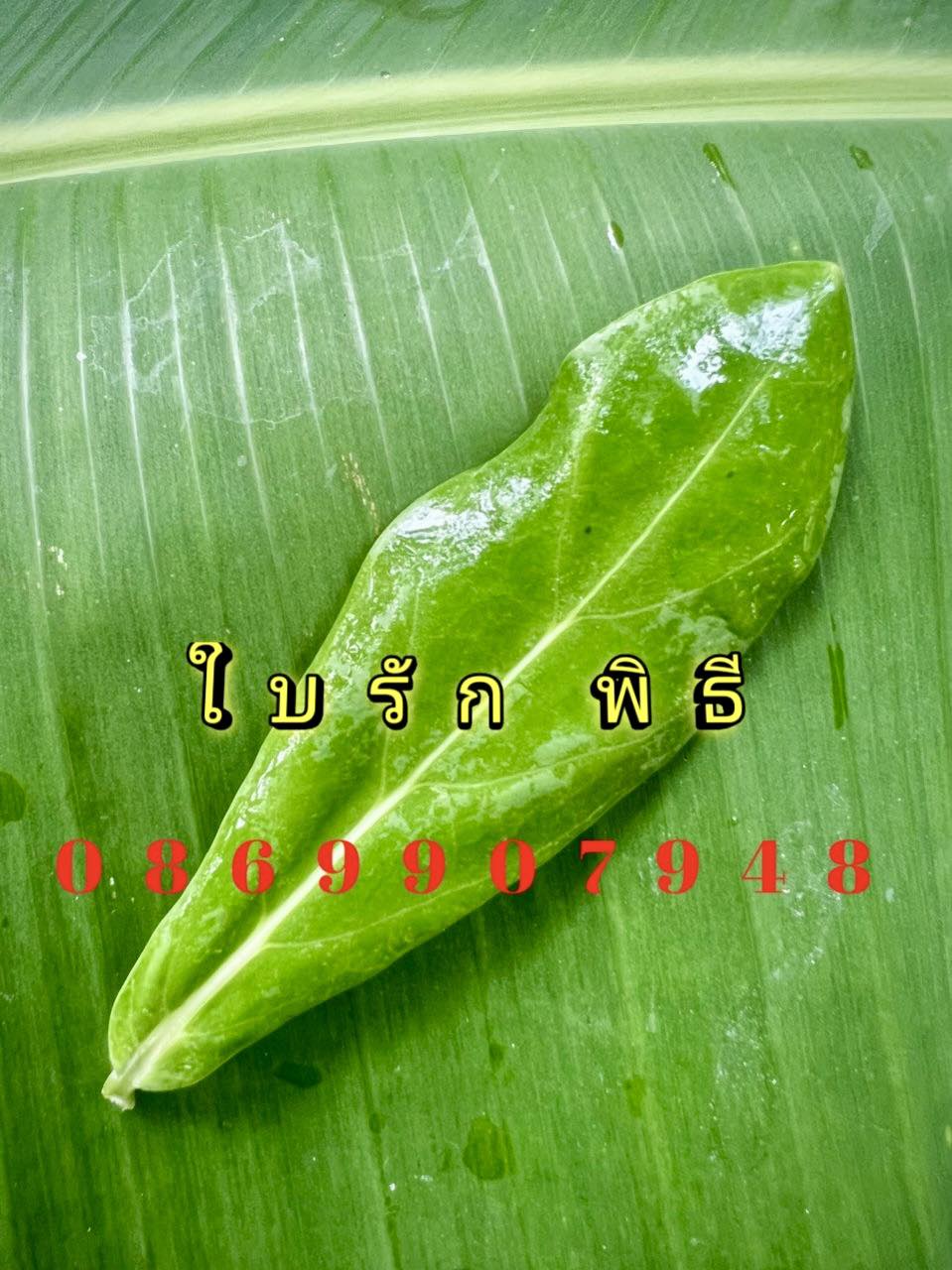 ใบไม้มงคล (พิธี)