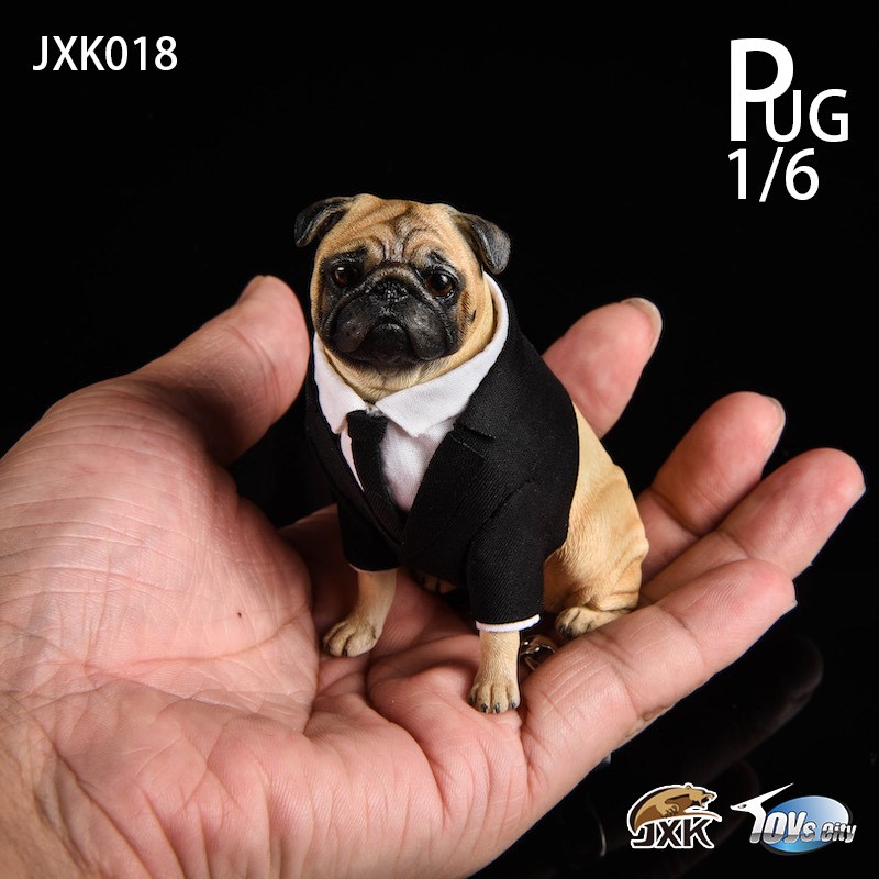 [สั่งจอง]JXK 1/6 JXK018 pug in Black-FRANK