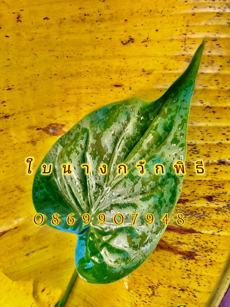 ใบไม้มงคล (พิธี)