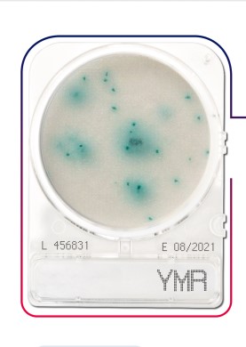 เพลทนับเชื้อสำเร็จรูป Compact Dry Yeast & Mold (YMR) 40/pK