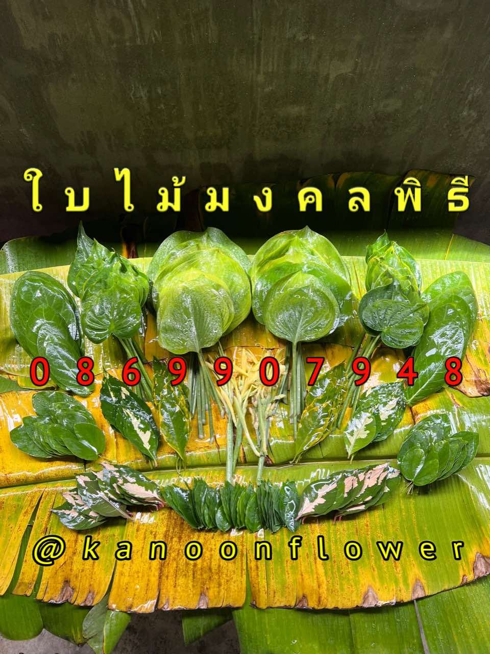 ใบไม้มงคลพิธี9อย่าง