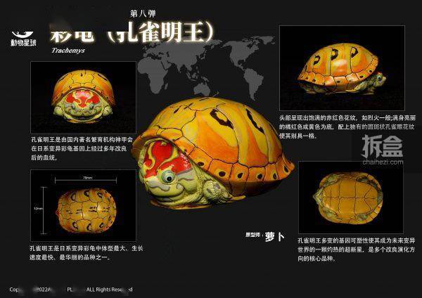 [สั่งจอง]Animal Planet : Heart Wide Body Fat Eighth Reptile Figure Static Animal Model