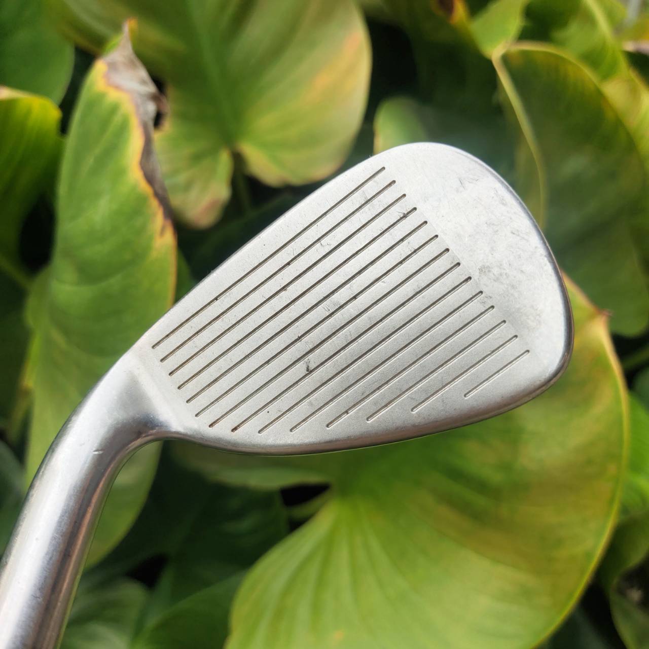 *ขาดเหล็ก 7* ขายชุดเหล็ก Taylormade 200 Series ฟีลแน่น ตีตรง คุมระยะดี ดีไซน์แบบ Cavity Back