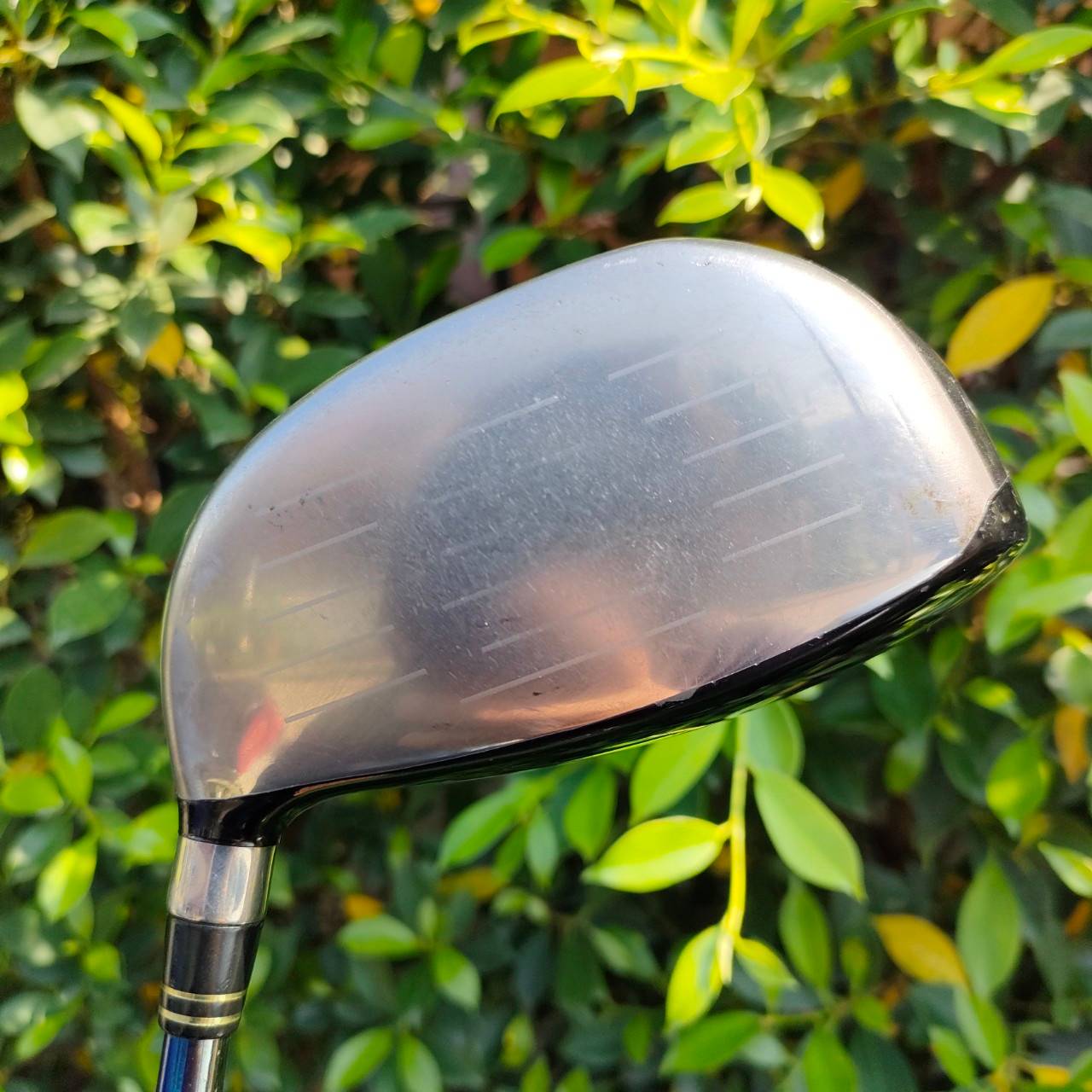 DRIVER MACTEC NV-NX องศา 10 ก้าน TOUR AD JYS-5.5 FLEX R หน้าเด้งสุดๆ บางๆใสๆ ตีไกลจัด