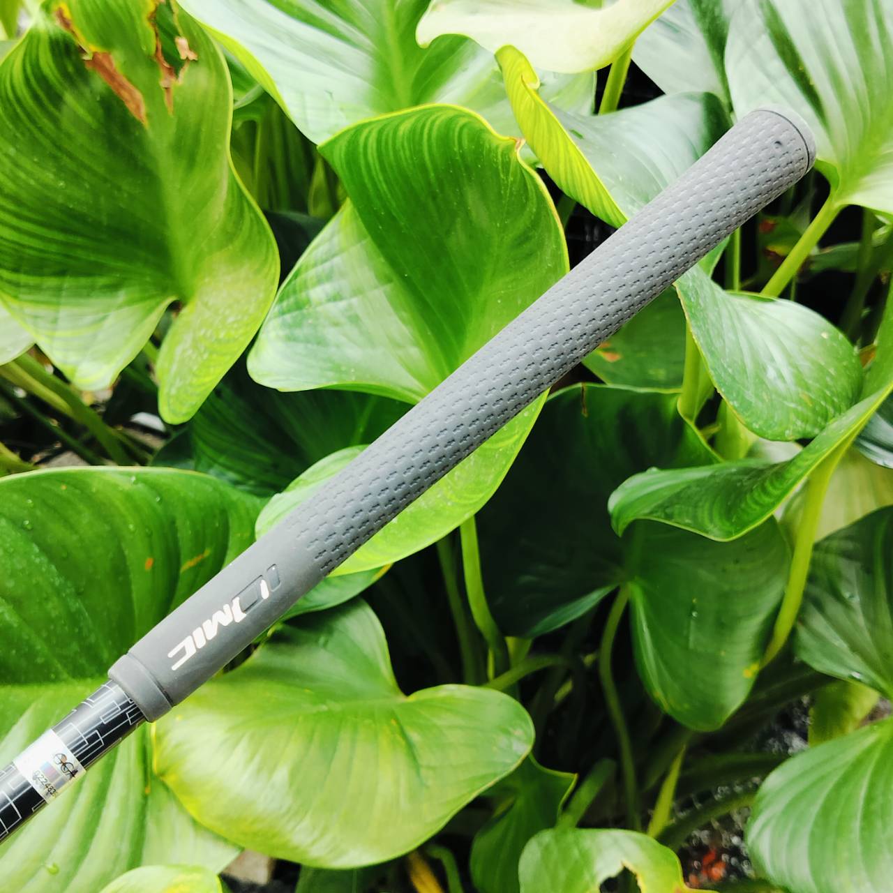 Dolphin Wedge DW-123 องศา 50 ก้าน WEDGE โดนเฉพาะ ผลิตที่ SANUKI JAPAN พรีเมี่ยมมาก ไม้กอล์ฟพรีเมี่ยมมือสอง ของแท้ By NakaraLuxurious