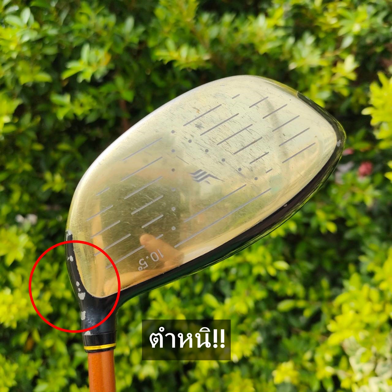 DRIVER ENA องศา 10.5 ก้าน ENA FLEX R ** ตรงคอไม้มีรอย ถลอก ** ไม้ SUPER PREMIUM ของญี่ปุ่น ไม้กอล์ฟมือสอง ของแท้ BY NakaraLuxurious