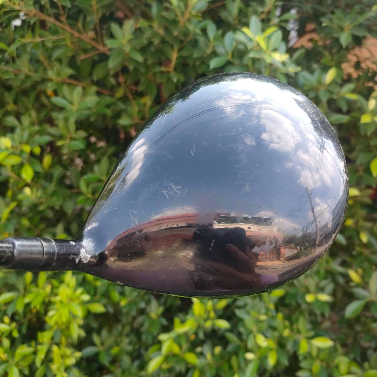 DRIVER ROYAL WEAPON SHO-BU ก้าน ROYAL WEAPON SHO BU FLEX R สุดยอด Driver หน้าเด้ง พรีเมี่ยมญี่ปุ่น!! ไม้กอล์ฟมือสอง ของแท้ BY NakaraLuxurious