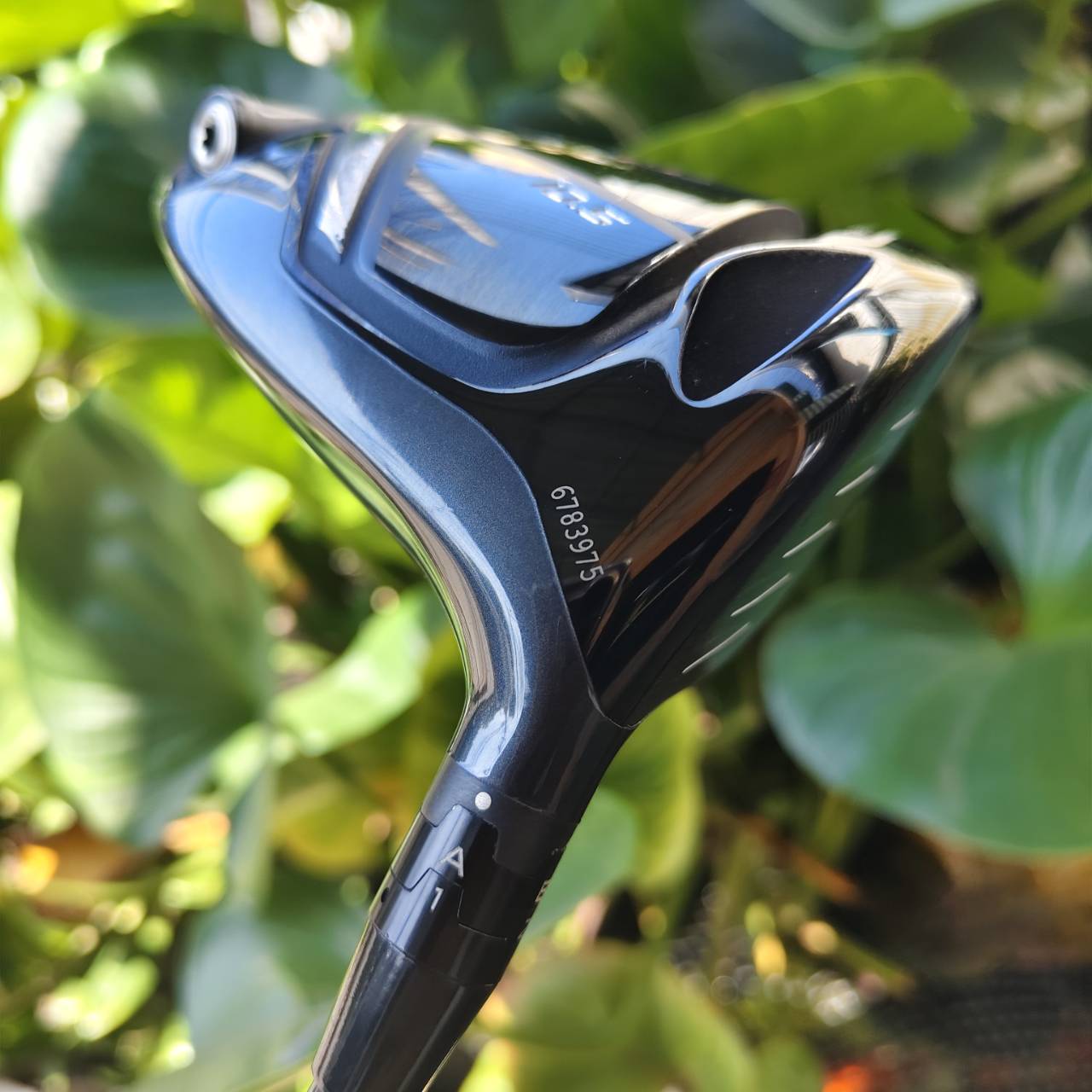 Driver Titleist 917 D2 – ของดีที่นักกอล์ฟตัวจริงต้องโดน!