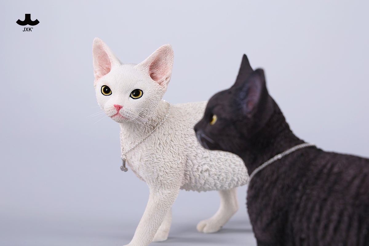 [สั่งจอง] JXK 1/3 : Devon Rex Cat Figurine V3