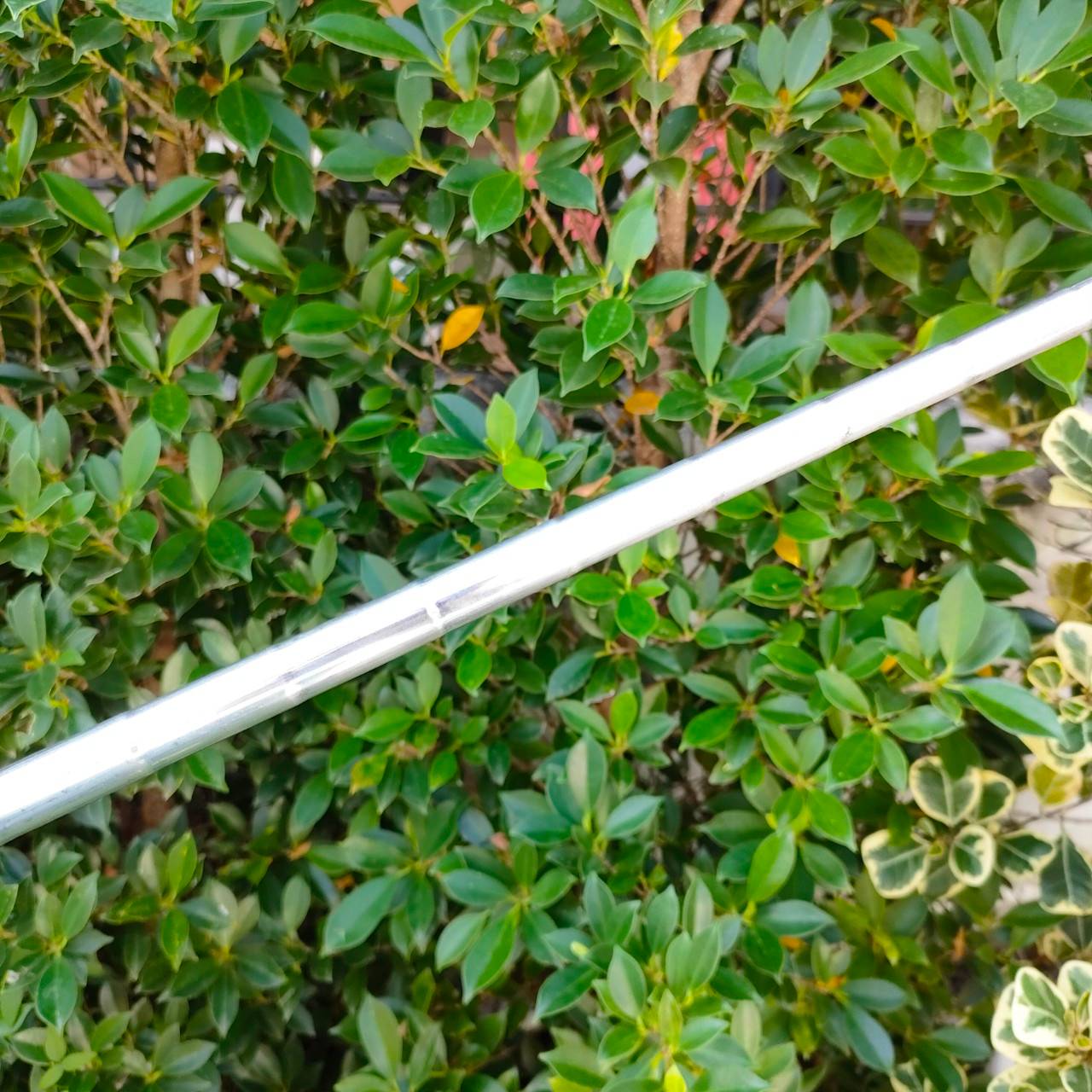 PUTTER DUNLOP D-901P ความยาว 34 นิ้ว ทรงแสตนดาร์ด