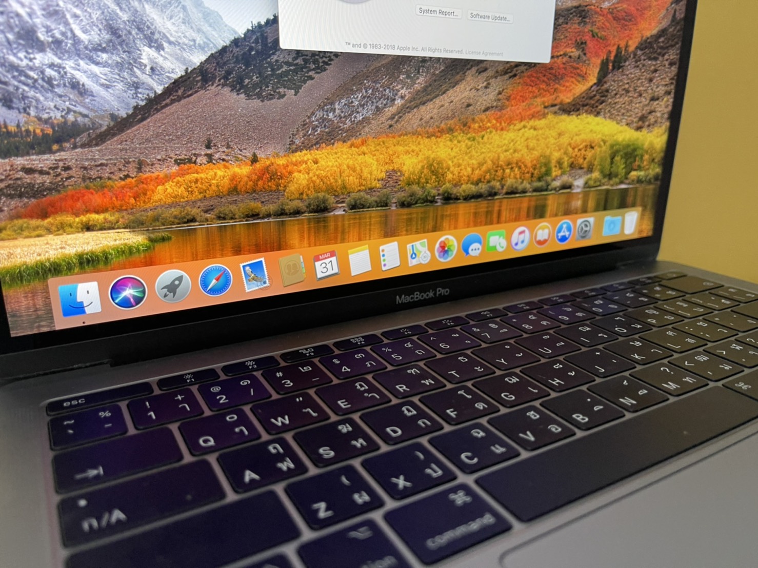 MacBook Pro (13-inch 2017 Two Thunderbolt 3 ports)