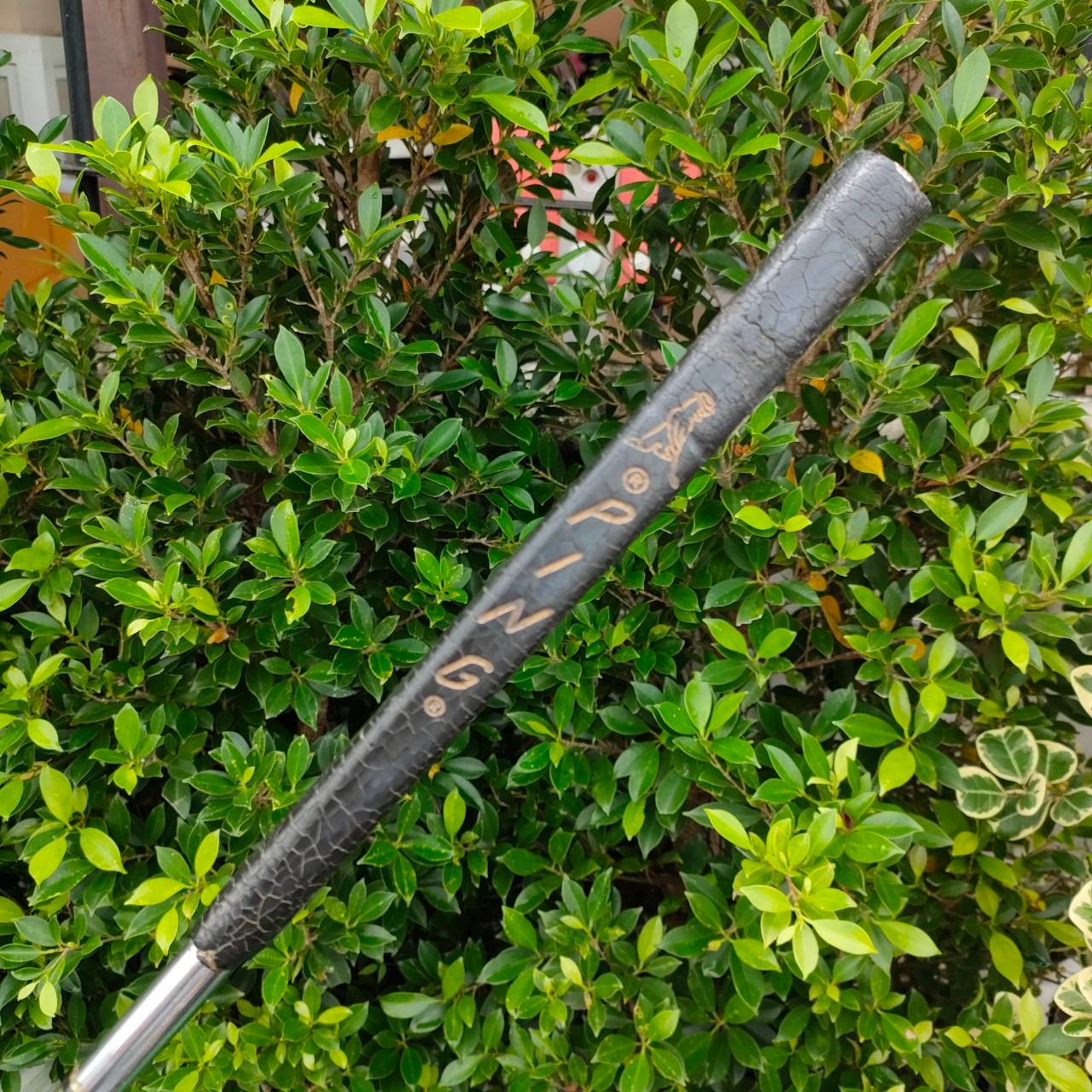 PUTTER PING ZING2 วัสดุ Beryllium Copper ก้าน PING ความยาว 34 นิ้ว