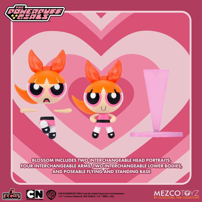 [สั่งจอง] Mezco Toyz 5 Points : Power Puff Girls