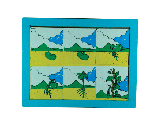 ของเล่น, ของเล่นเด็ก, จิ๊กซอว์, ตัวต่อ, ภาพลำดับเหตุการณ์ พืช , ของเล่นไม้, ของเล่นเสริมพัฒนาการ, ของเล่นเด็กอนุบาล, สื่อการสอนเด็กอนุบาล