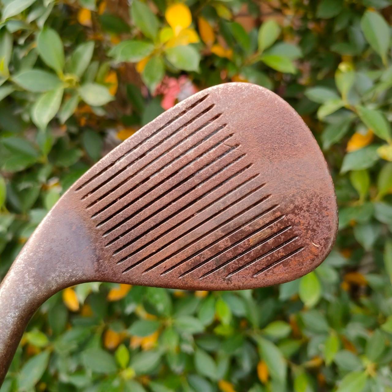 WEDGE CLEVELAND SPECIAL REG.588 องศา 45 OIL CAN รุ่นที่ดังที่สุด ดีที่สุด