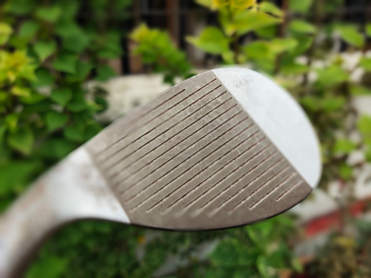 WEDGE COBRA TRUSTY RUSTY TRI BOUNCE PWR องศา 55
