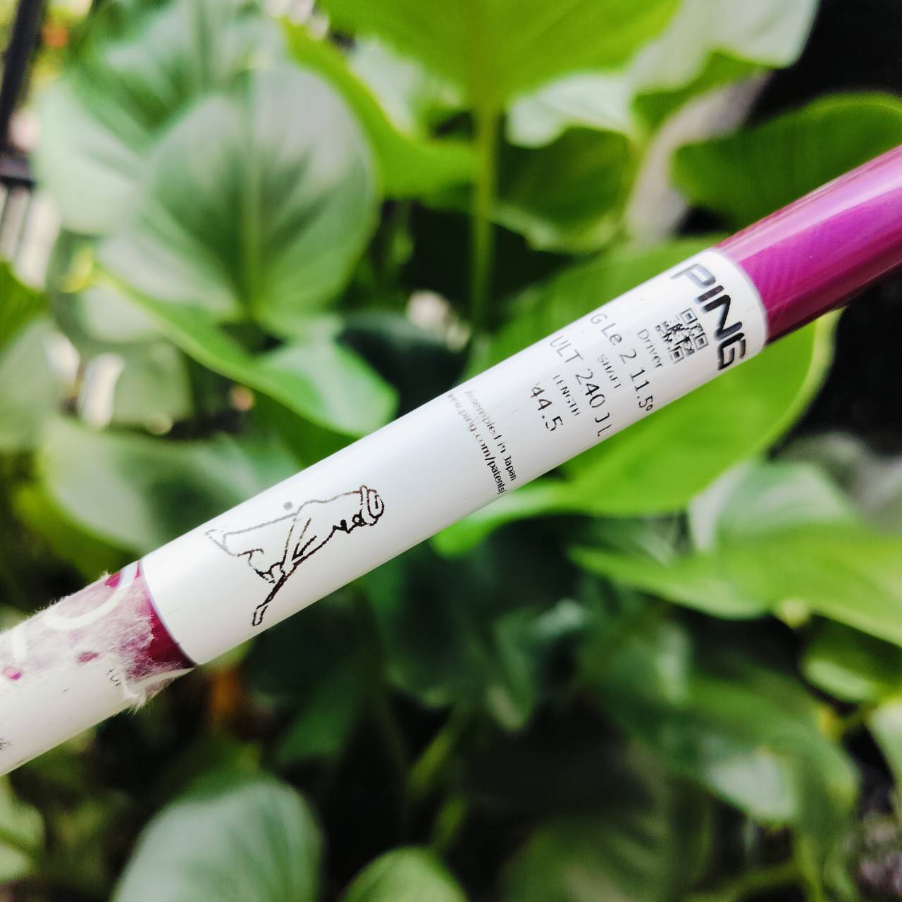 ไม้กอล์ฟสำหรับผู้หญิงครบชุด PING GLE2 LADY สุดยอดเทคโนโลยีของ PING ไม่แพ้ ซีรี่ย์ G ของผู้ชาย ตอบสนองความต้องการของท่านนักกอล์ฟสุภาพสตรี ให้มีความสุขในเกมส์การเล่นกอล์ฟมากยิ่งขึ้น ไม้กอล์ฟพรีเมี่ยมมือสอง ของแท้ By NakaraLuxurious
