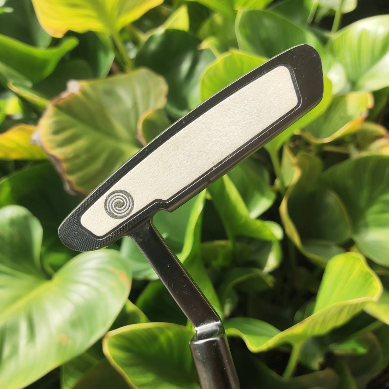 Putter Odyssey White Ice 1 Blade-style พร้อม Crank Neck Hosel ตั้งทิศทางตรงง่าย มั่นใจบนกรีน