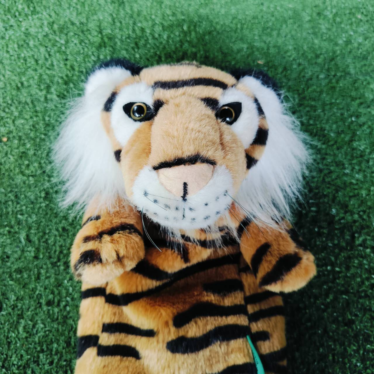 COVER ใส่ Driver มือสอง เสือ TIGER น่ารัก สภาพดีค่ะ