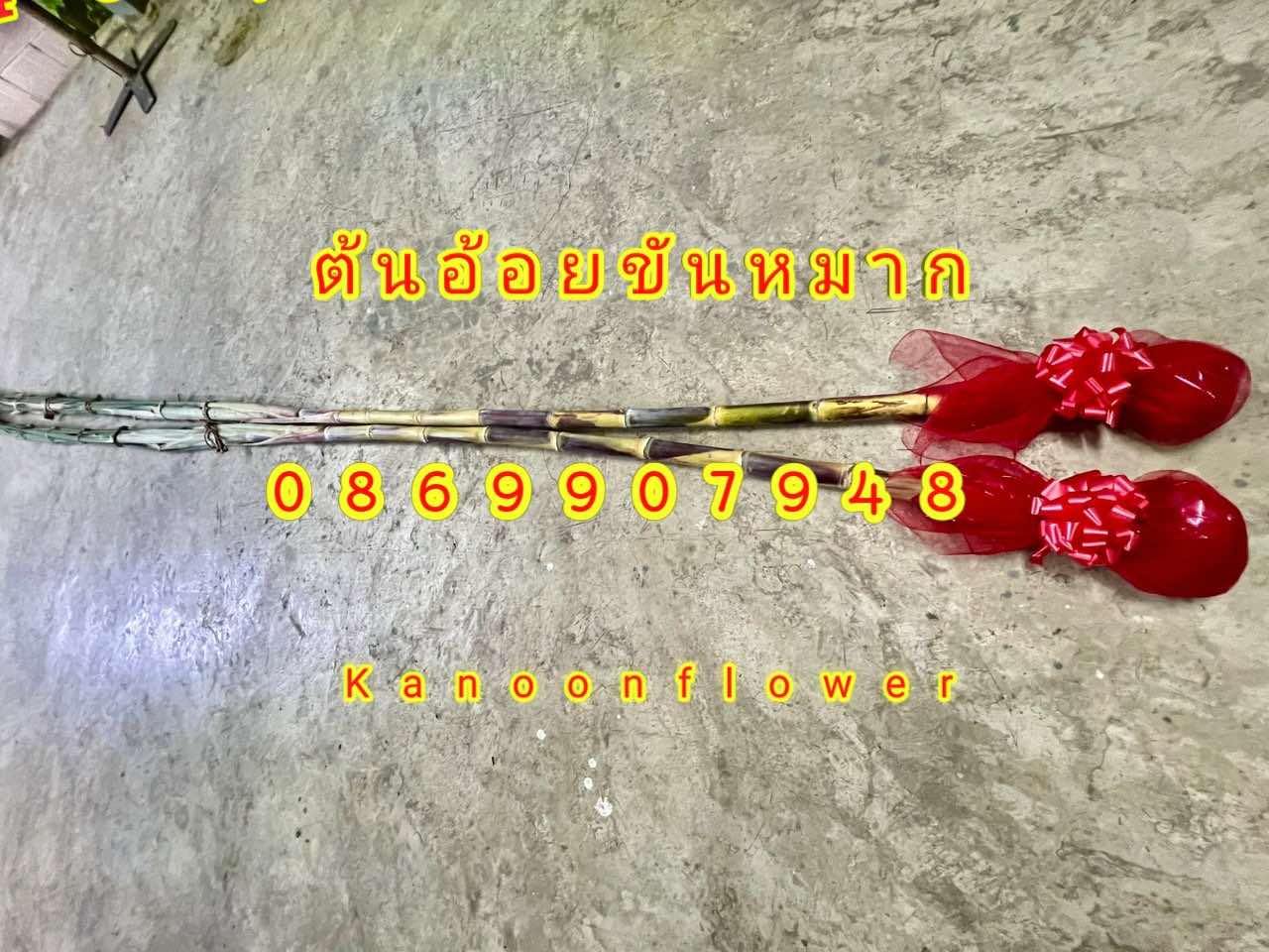 ต้นอ้อยต้นกล้วย (ขันหมาก)