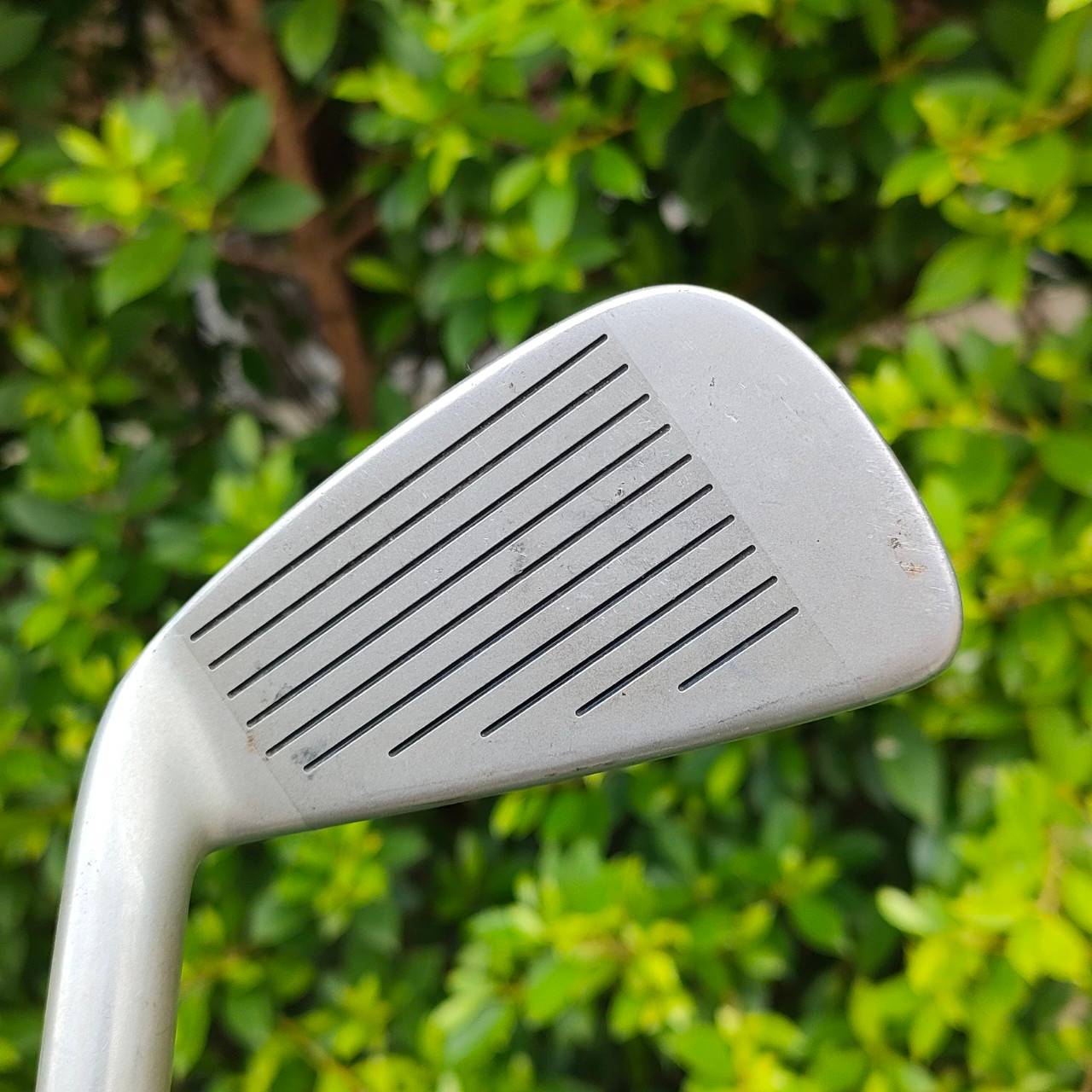 ชุดเหล็ก DAIWA HI-TRAC-TCS TWIN CUS SOLE FLEX R ได้เหล็ก 3 - 10 , DAIWA เป็นก้านกราไฟต์ระดับโลก ตีง่ายและไกล ยืดหยุ่น ไม้กอล์ฟมือสอง ของแท้ BY NakaraLuxurious