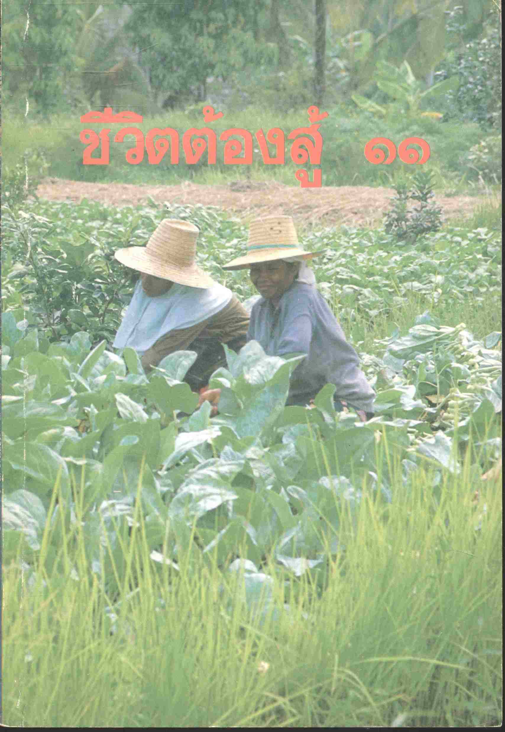 ชีวิตต้องสู้ เล่ม ๑๑
