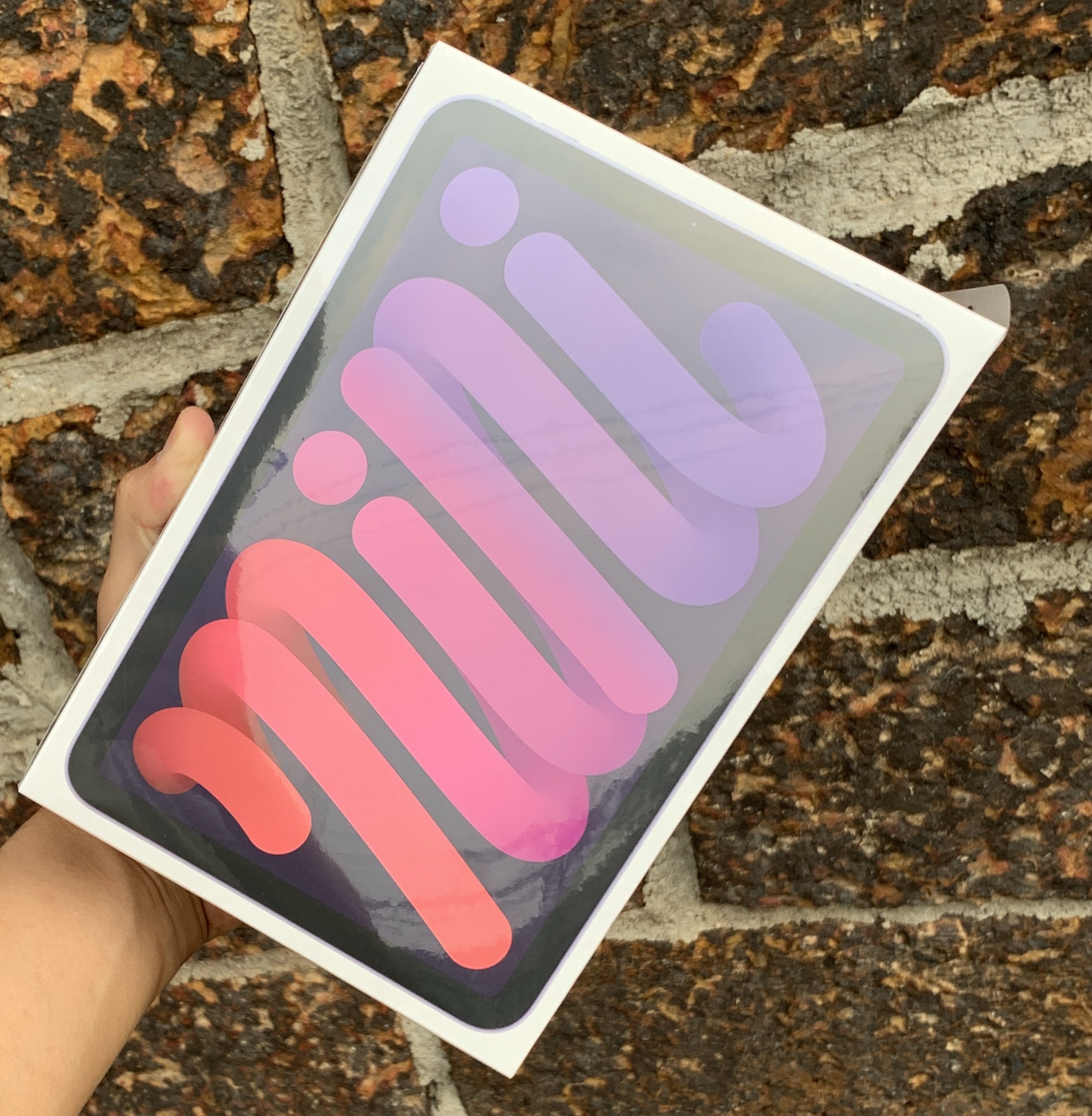 ขาย iPad Mini 6 wifi 256GB มือ1 ราคาไม่แพง