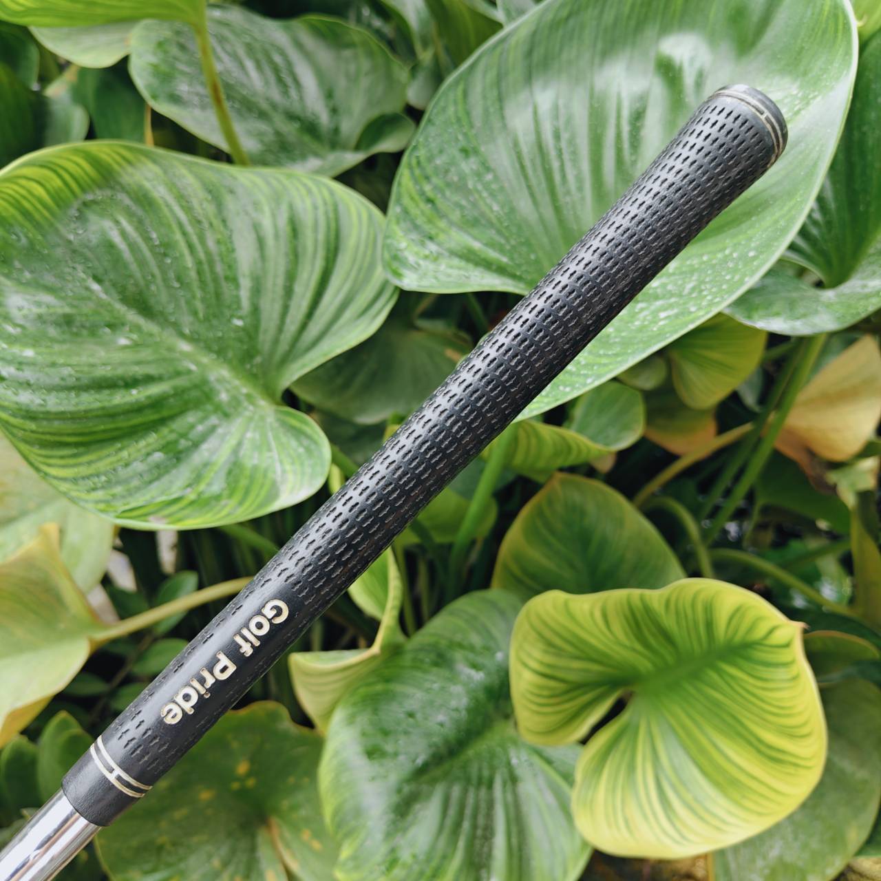 Wedge Mizuno MP Series – 56° (Bounce 11) สัมผัสความคลาสสิกในทุกช็อตสั้นจาก Mizuno Japan