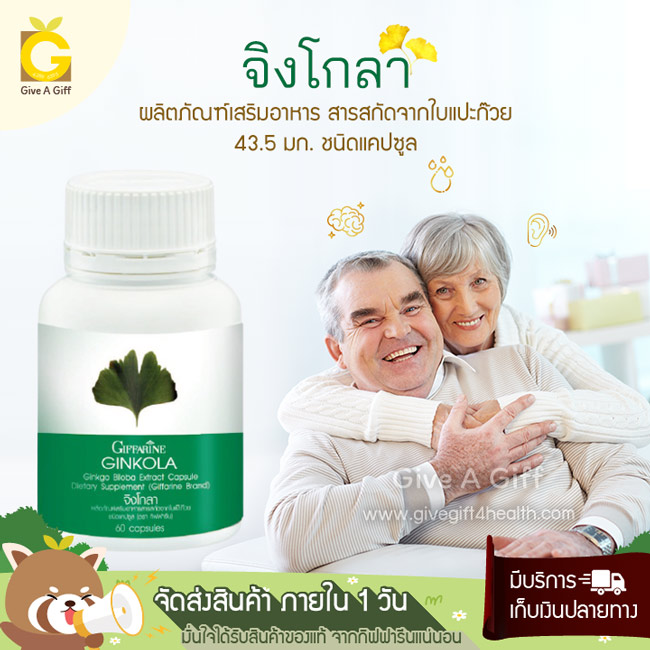 Ginkola (จิงโกลา) สารสกัดจากใบแปะก๊วย ตัวช่วยเพิ่มความจำให้ผู้สูงอายุที่มีอาการหลงลืม อัลไซเมอร์
