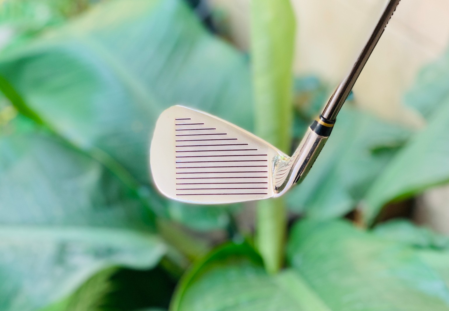 เหล็ก 9 T-ZOOM X5 FORGED (หัวทอง)