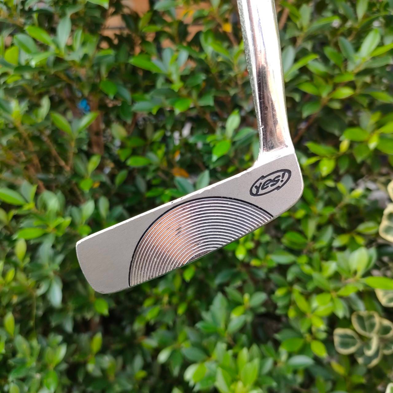 PUTTER YES! C-GROOVE NICKY ความยาว 34 นิ้ว ก้าน YES! C-GROOVE ทรงสุดคลาสสิค พิเศษที่หน้าไม้เอกสิทธิ์ สุดยอดแห่งความเกาะไลน์ ฟิลคล้ายๆชิพ ไม่ต้องแก้วง คนไม่เคยต้องลอง