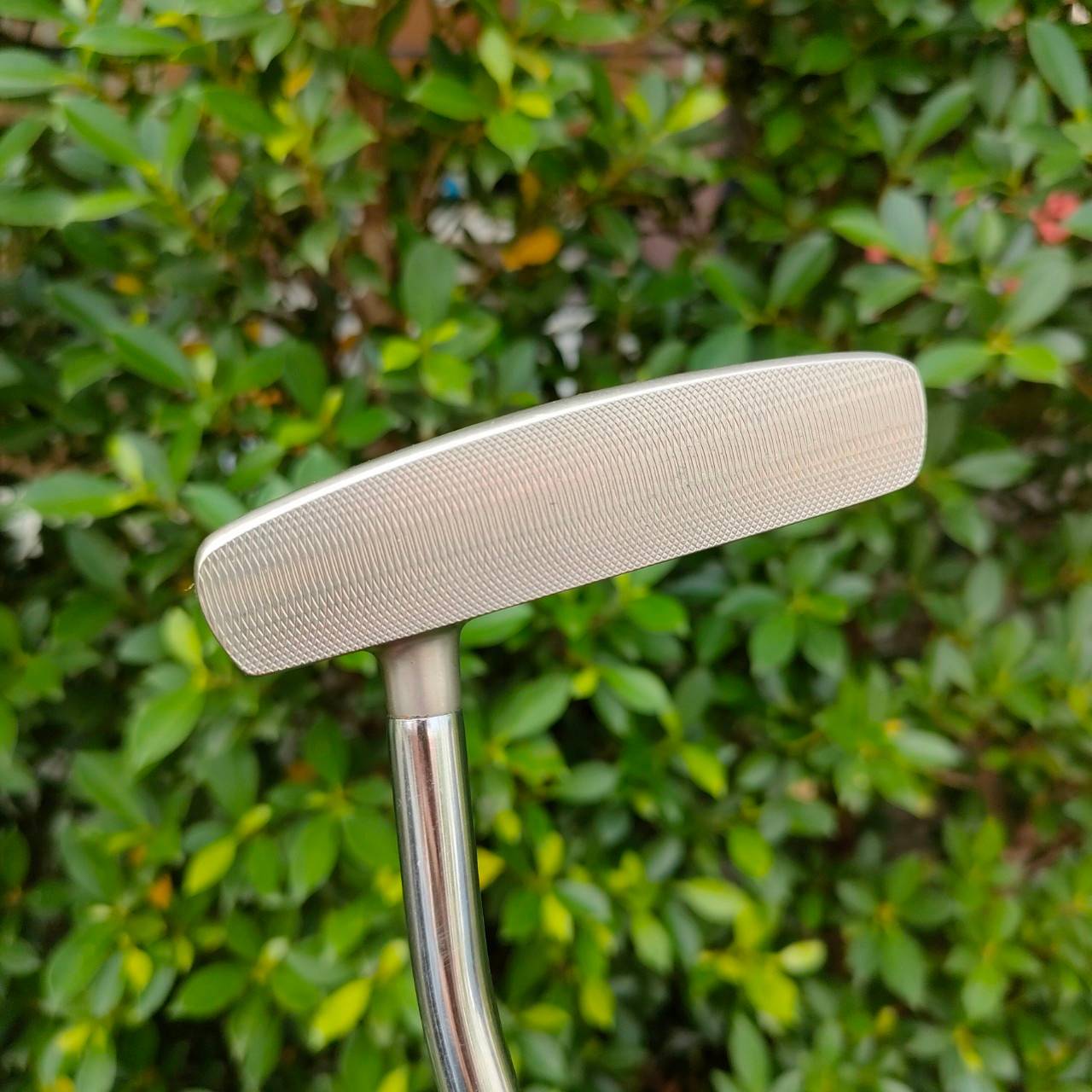 PUTTER HONMA HP-803 ความยาว 34 นิ้ว MADE IN JAPAN SAKATA รูปทรงมอลเล็ต พัตต์ง่าย หน้า MILLED เกาะไลน์ พรีเมี่ยมสุดๆครับ