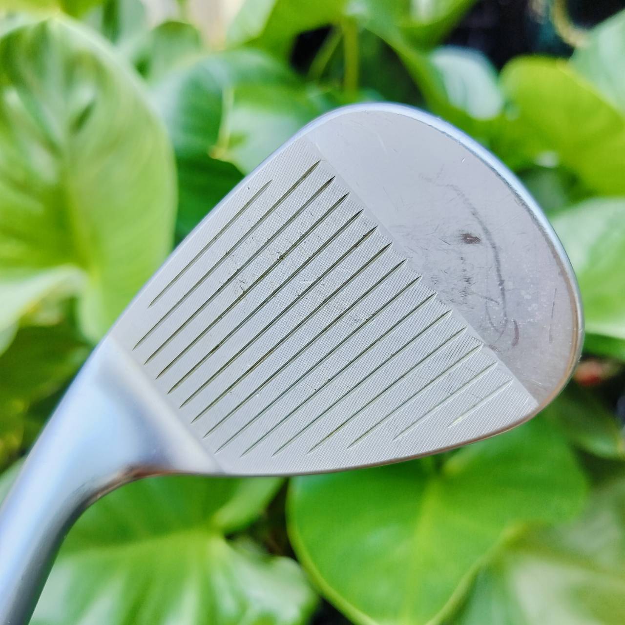 WEDGE CALLAWAY JAWS MD5 องศา 56 BOUNCE 10S ก้าน DYNAMIC GOLD S200 เป็น WEDGE สุดโหด ยอดนิยมสูงสุด ร่องสวยดุดันที่สุด ให้สปินเกินคาด ไม้กอล์ฟพรีเมี่ยมมือสอง ของแท้ By NakaraLuxurious