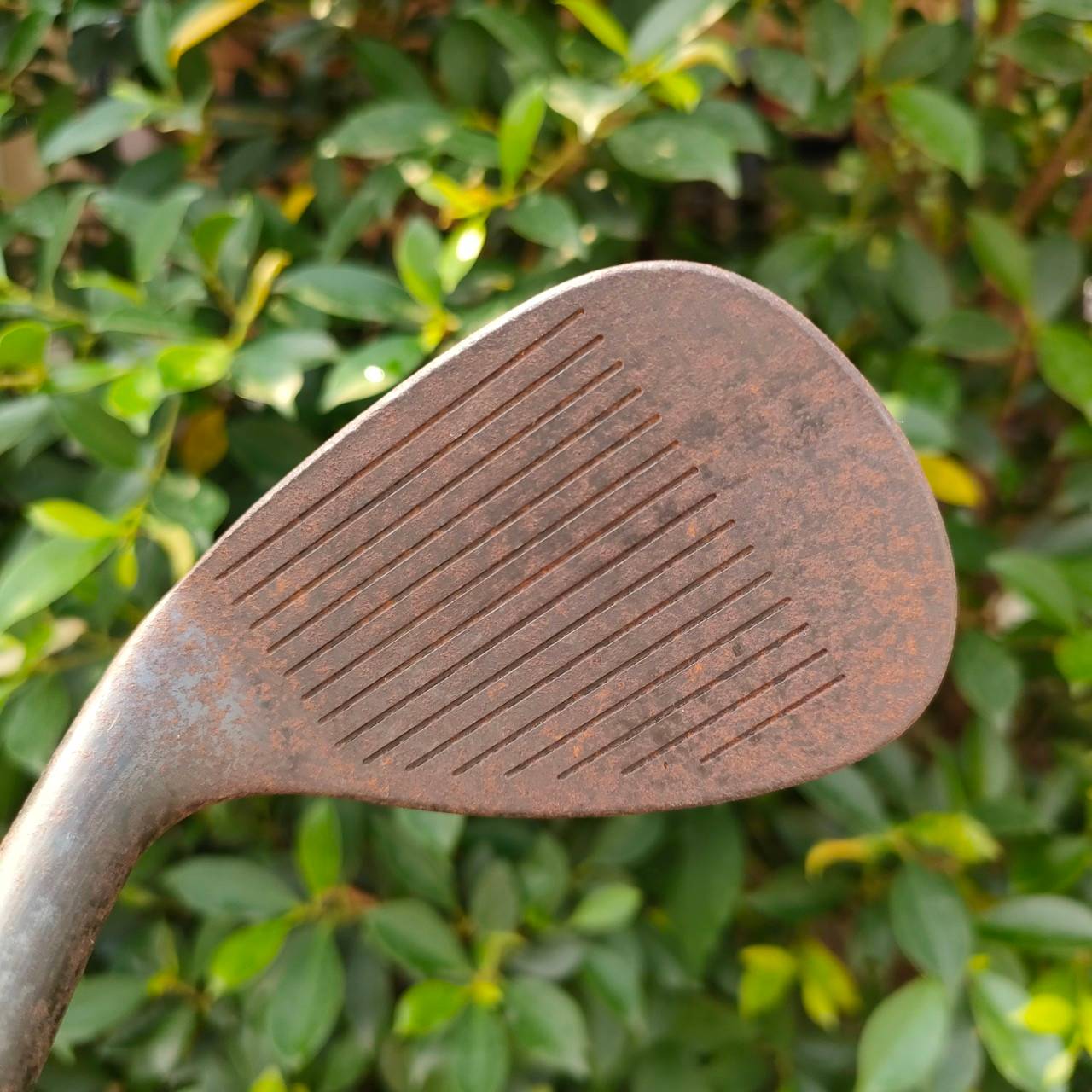 WEDGE FOURTEEN MT28 V4 FOGED องศา 56 ก้าน N.SPRO 950GH FLEX WEDGE