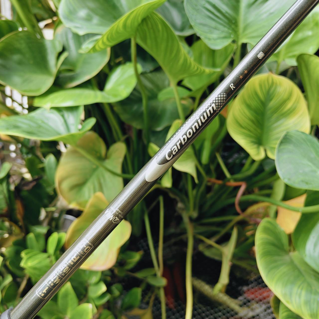 HONMA TWIN MARK 808RF CARBONIUM ⭐️⭐️ ก้าน 2 ดาว FLEX R