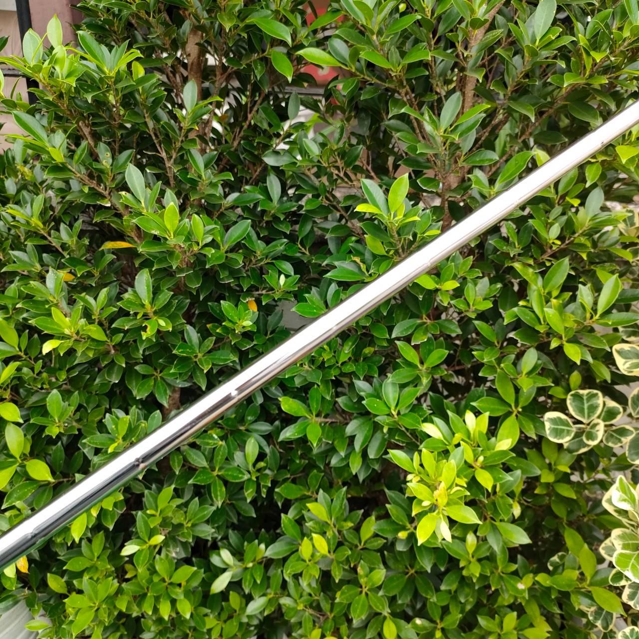 PUTTER ODYSSEY VERSA 7 ความยาว 34 นิ้ว รูปทรงที่ ได้รับความนิยมสูงสุด พัตต์ดีมากๆ